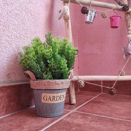 Apartment Cezar Lukavica